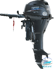 YM3.png
