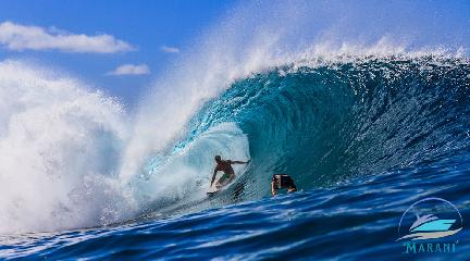 Surf2.jpg