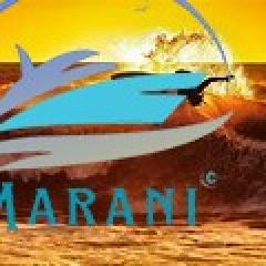 Surf4.jpg