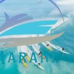 Surf6.jpg