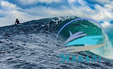 Surf5.jpg