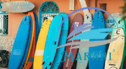 1Surf2.jpeg